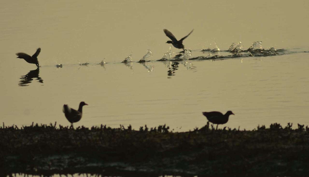 Water Bird Family Toucheng Exterior foto
